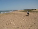 het strand